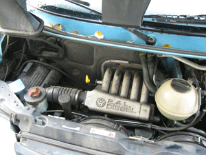 biodiesel engines