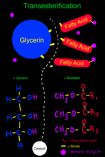 Biodiesel Chemistry - Triglyceride visual