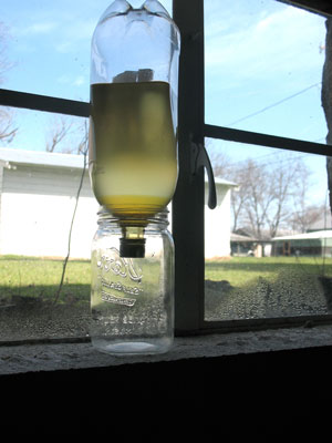 making your own biodiesel - after separation