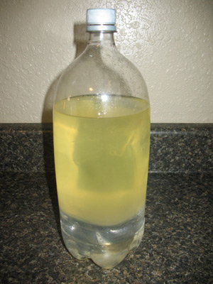 biodiesel batch settling biodiesel batch settling