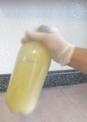 making your own biodiesel - shaking it up in the bottle